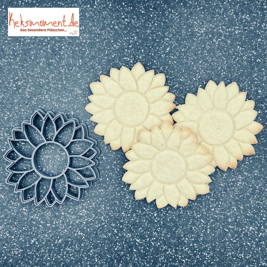 Blumen & Pflanzen